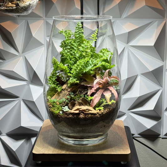 Le Vase